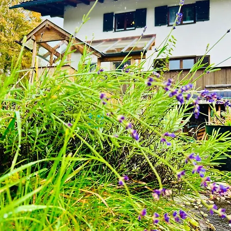 Haus Winkl 55 Mariatal